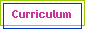 Curriculum